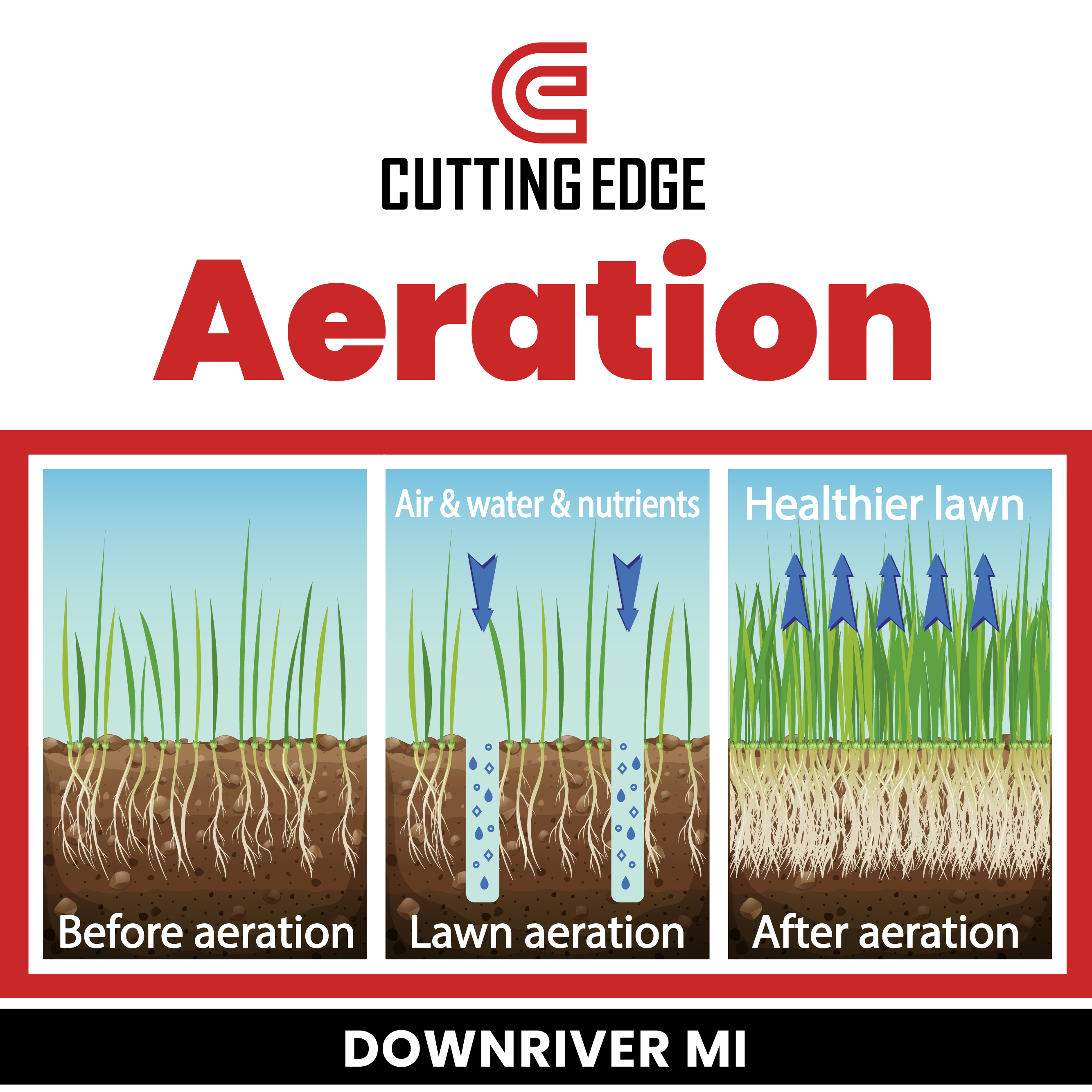 Aeration - dethatching Downriver Michigan