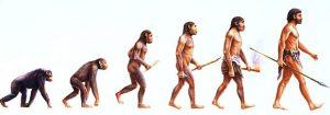 A teoria da Evolução