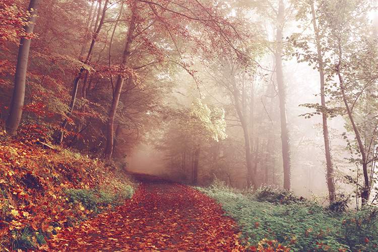 Key Information about Mpox