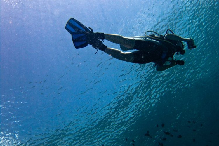 Exploring the Wonders of Bali Diving