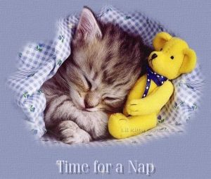 Nap Time – Murphy’s Law