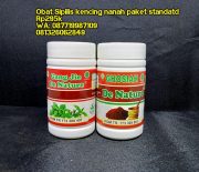 Cara Membuat Obat Probiotik Herbal untuk Mengobati Sipilis