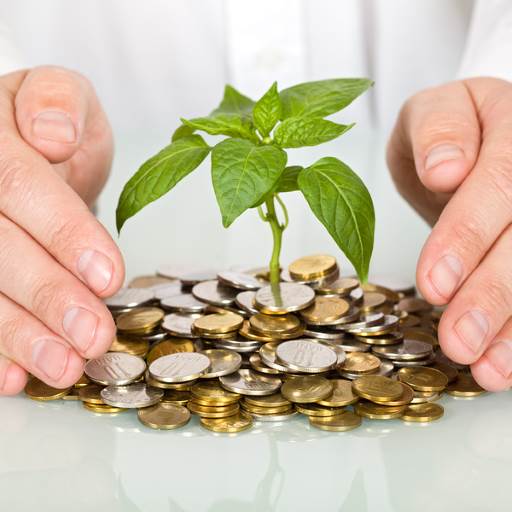 Protecting a good investment and making money concept - businessman hands with plant sprouting from a pile of coins