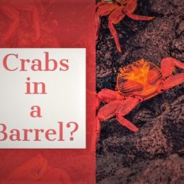 Crabs in a Barrel?