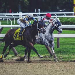 Learn The Basics Of Horse Betting To Get Started
