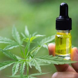 CBD Oil Use And Dosage: A Basic Guide For Beginners