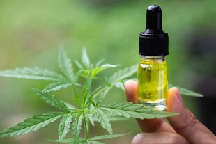 CBD Oil Use And Dosage: A Basic Guide For Beginners