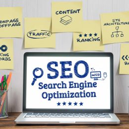 SEO 101: Select The Ideal Service For Your Business Website!