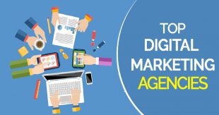 5 Ways To Hunt Down The Best Digital Marketing Agency