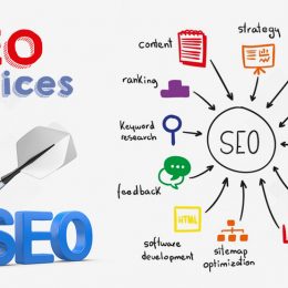 The Quiz-Why Should You Hire A SEO Company In Singapore?