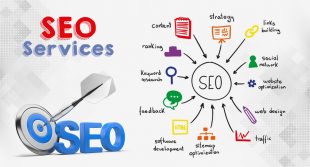 The Quiz-Why Should You Hire A SEO Company In Singapore?