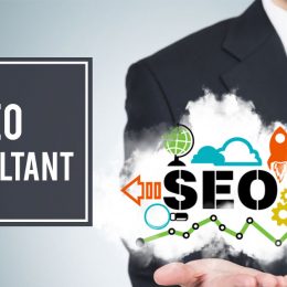 Ask These Questions Before Working With An SEO Consultant!