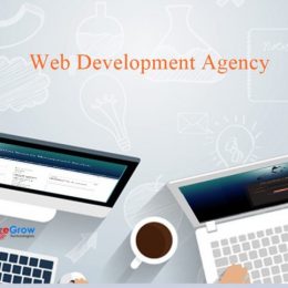 Importance of Finding the Right Web Development Agency in Singapore