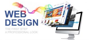 Marks Of Quality In Web Designing Agencies