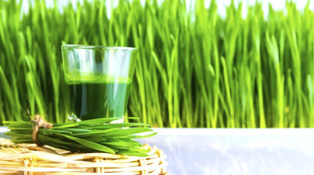 Advantage of Wheatgrass