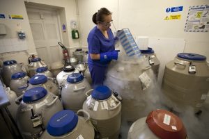 Perbankan Sperma di Lab Frisco Menjaga Kemungkinan Pengasuhan